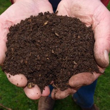 A close up at soil